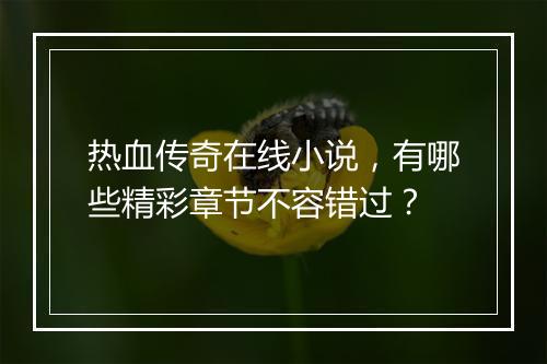 热血传奇在线小说，有哪些精彩章节不容错过？