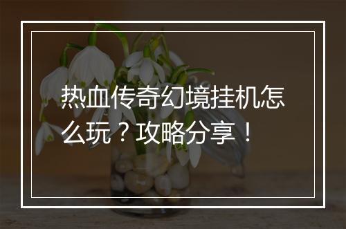 热血传奇幻境挂机怎么玩？攻略分享！