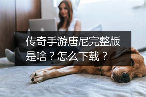 传奇手游唐尼完整版是啥？怎么下载？