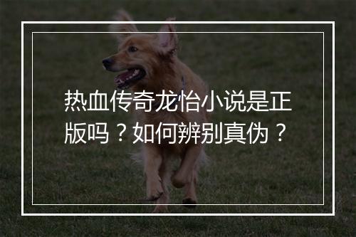 热血传奇龙怡小说是正版吗？如何辨别真伪？
