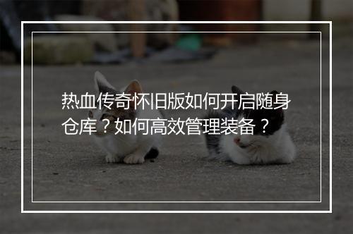 热血传奇怀旧版如何开启随身仓库？如何高效管理装备？