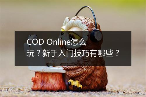 COD Online怎么玩？新手入门技巧有哪些？