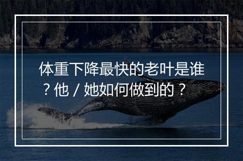 体重下降最快的老叶是谁？他／她如何做到的？