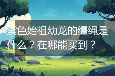 紫色始祖幼龙的缰绳是什么？在哪能买到？