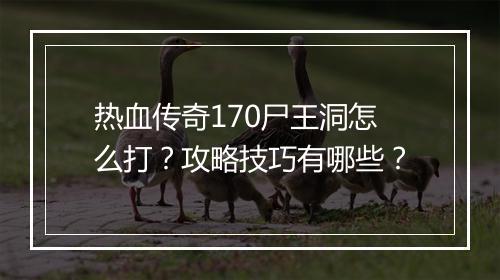 热血传奇170尸王洞怎么打？攻略技巧有哪些？