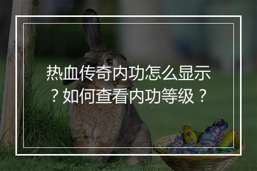 热血传奇内功怎么显示？如何查看内功等级？