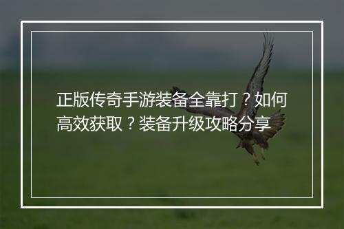 正版传奇手游装备全靠打？如何高效获取？装备升级攻略分享