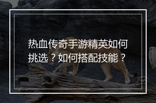 热血传奇手游精英如何挑选？如何搭配技能？