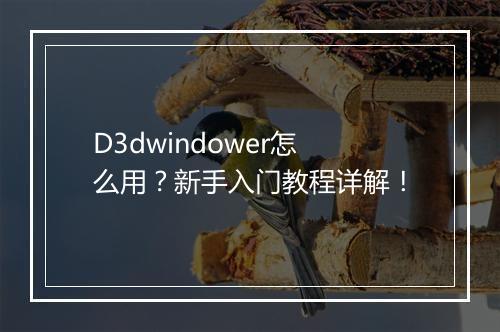 D3dwindower怎么用？新手入门教程详解！