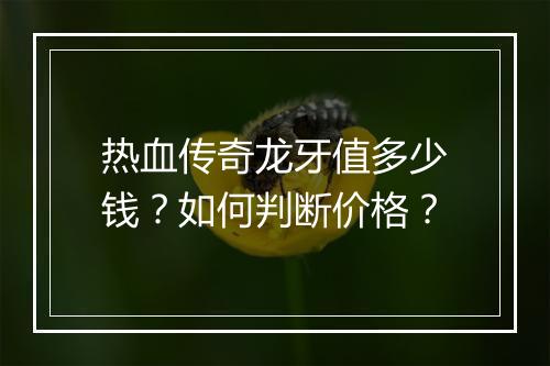 热血传奇龙牙值多少钱？如何判断价格？