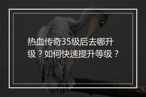 热血传奇35级后去哪升级？如何快速提升等级？