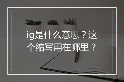ig是什么意思？这个缩写用在哪里？