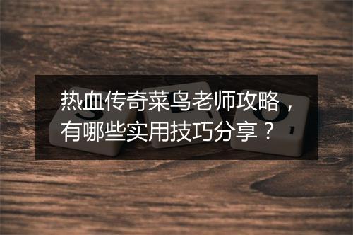 热血传奇菜鸟老师攻略，有哪些实用技巧分享？