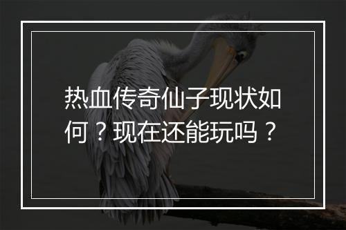 热血传奇仙子现状如何？现在还能玩吗？