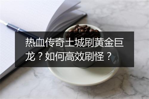 热血传奇土城刷黄金巨龙？如何高效刷怪？