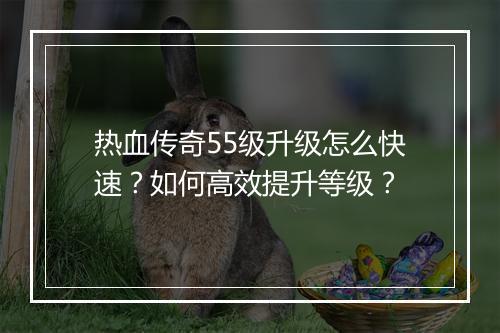 热血传奇55级升级怎么快速？如何高效提升等级？