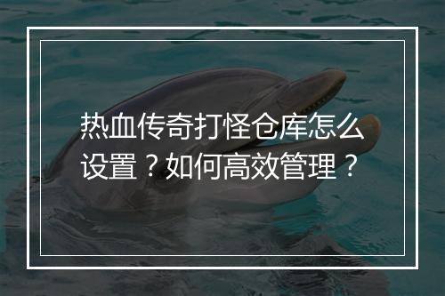热血传奇打怪仓库怎么设置？如何高效管理？