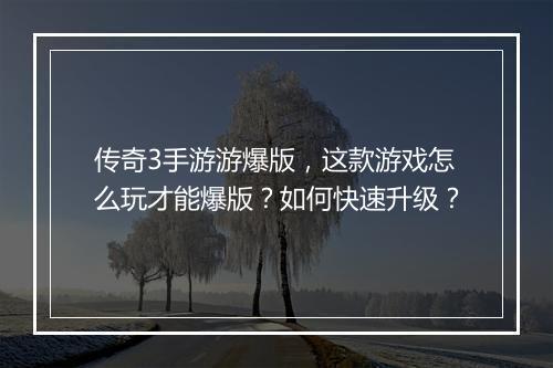 传奇3手游游爆版，这款游戏怎么玩才能爆版？如何快速升级？
