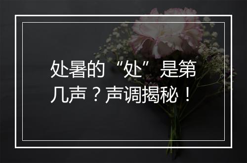 处暑的“处”是第几声？声调揭秘！