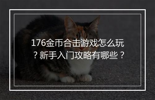 176金币合击游戏怎么玩？新手入门攻略有哪些？