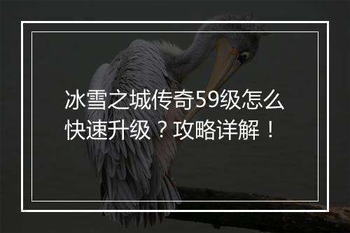 冰雪之城传奇59级怎么快速升级？攻略详解！