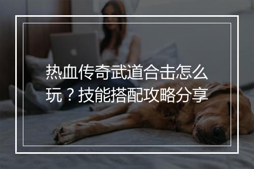 热血传奇武道合击怎么玩？技能搭配攻略分享