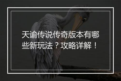 天谕传说传奇版本有哪些新玩法？攻略详解！