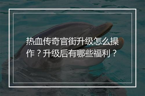 热血传奇官街升级怎么操作？升级后有哪些福利？