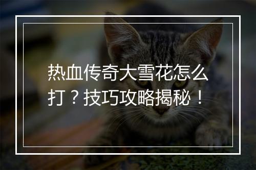 热血传奇大雪花怎么打？技巧攻略揭秘！
