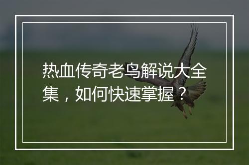 热血传奇老鸟解说大全集，如何快速掌握？