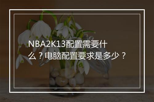 NBA2K13配置需要什么？电脑配置要求是多少？