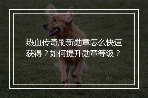 热血传奇刷新勋章怎么快速获得？如何提升勋章等级？