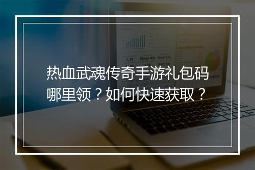 热血武魂传奇手游礼包码哪里领？如何快速获取？