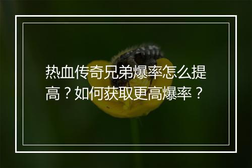 热血传奇兄弟爆率怎么提高？如何获取更高爆率？