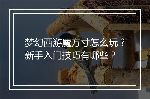 梦幻西游魔方寸怎么玩？新手入门技巧有哪些？