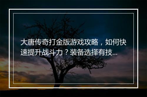 大唐传奇打金版游戏攻略，如何快速提升战斗力？装备选择有技巧吗？