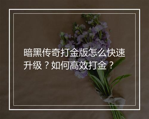 暗黑传奇打金版怎么快速升级？如何高效打金？