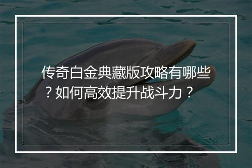 传奇白金典藏版攻略有哪些？如何高效提升战斗力？