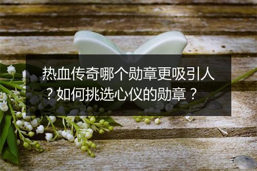 热血传奇哪个勋章更吸引人？如何挑选心仪的勋章？