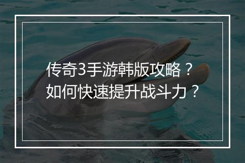 传奇3手游韩版攻略？如何快速提升战斗力？