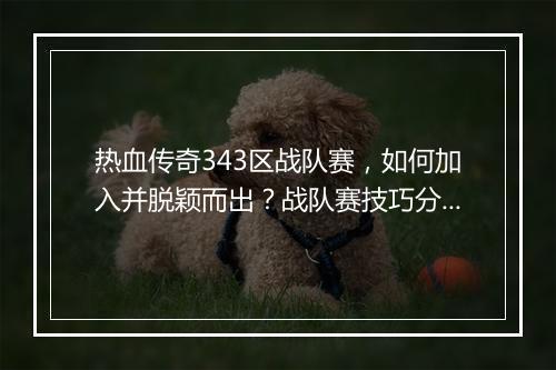 热血传奇343区战队赛，如何加入并脱颖而出？战队赛技巧分享