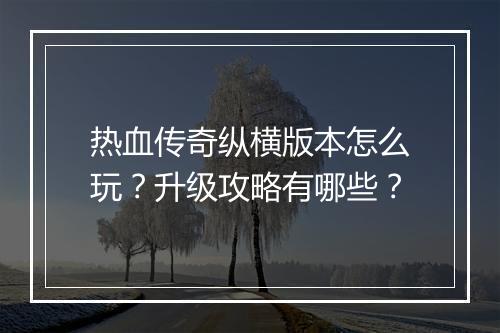 热血传奇纵横版本怎么玩？升级攻略有哪些？