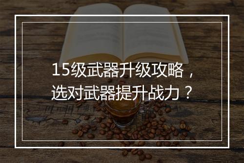 15级武器升级攻略，选对武器提升战力？