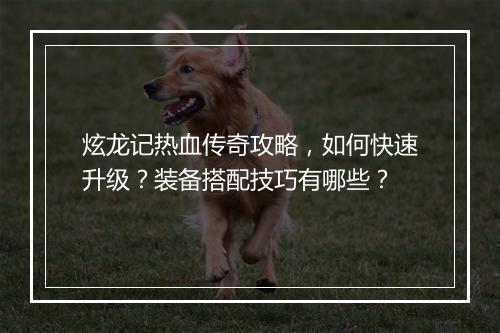 炫龙记热血传奇攻略，如何快速升级？装备搭配技巧有哪些？