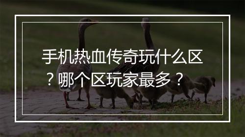 手机热血传奇玩什么区？哪个区玩家最多？