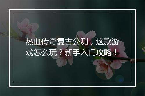 热血传奇复古公测，这款游戏怎么玩？新手入门攻略！