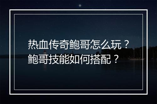 热血传奇鲍哥怎么玩？鲍哥技能如何搭配？