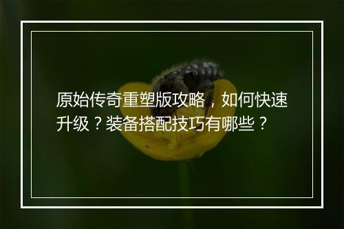 原始传奇重塑版攻略，如何快速升级？装备搭配技巧有哪些？