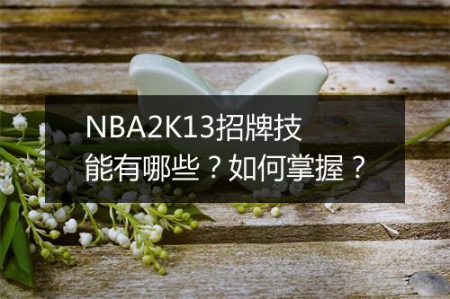 NBA2K13招牌技能有哪些？如何掌握？