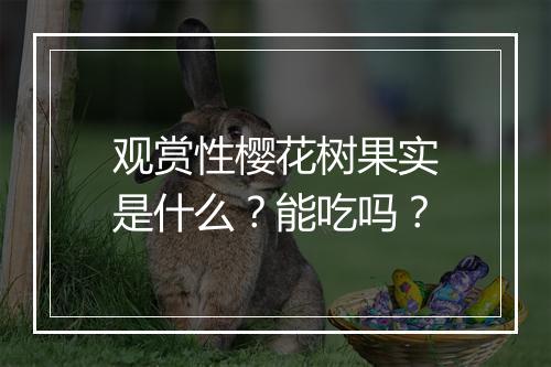 观赏性樱花树果实是什么？能吃吗？